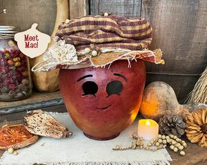 This is a fall apple decoration. It is a real gourd with a happy face  carved into it. This gourd is named Mac and has a lacy handmade hat